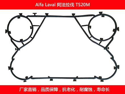 TS20M 國(guó)產(chǎn)板式換熱器密封墊片