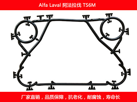 TS6M 國(guó)產(chǎn)板式換熱器密封墊片